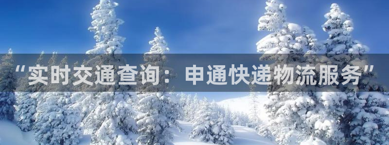 豪门国际模拟器下载
