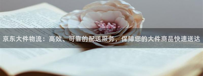 豪门国际官方网站预测：京东大件物流：