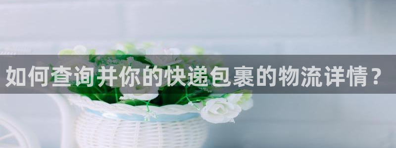 豪门国际是正规软件吗：如何查询并你的
