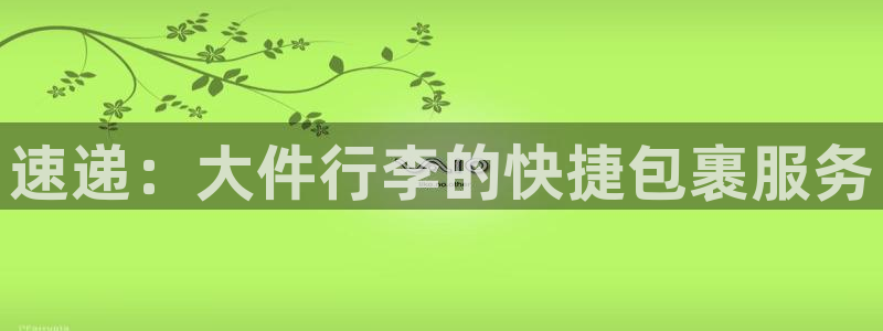 豪门国际模拟器在线玩：速递：大件行李