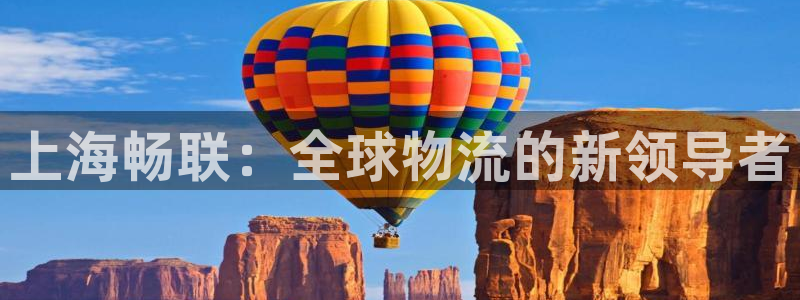 豪门国际是正规平台吗：上海畅联：全球
