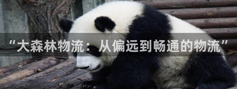 豪门国际平台注册：“大森林物流：从偏