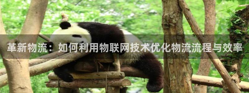 豪门国际最稳打法：革新物流：如何利用