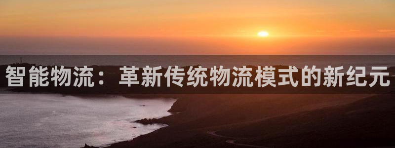豪门国际取保：智能物流：革新传统物流