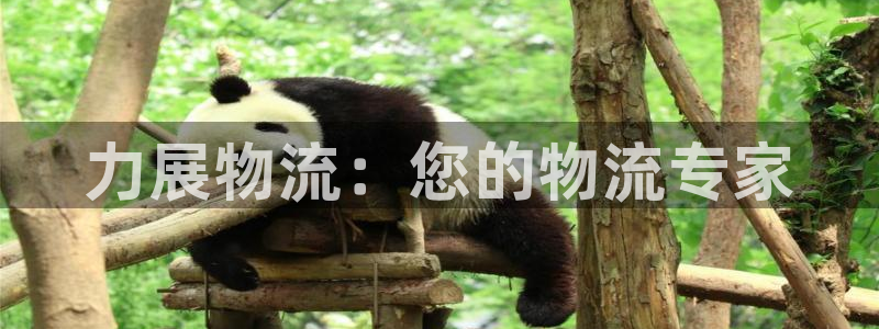 豪门国际百度百科