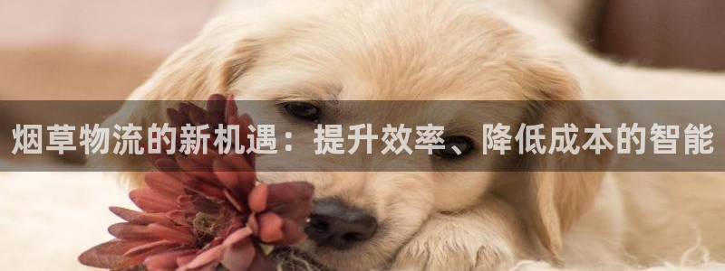 豪门国际技巧：烟草物流的新机遇：提升
