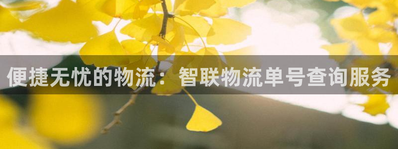 豪门国际预测加拿大师准：便捷无忧的物