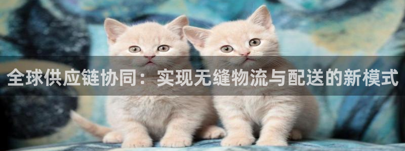 豪门国际注册登录链接：全球供应链协同