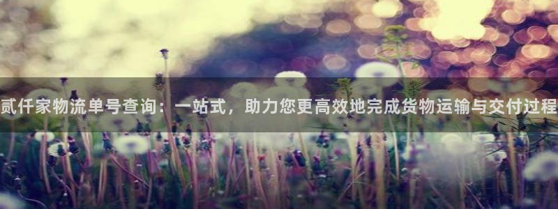 豪门国际怎么下载
