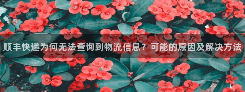 豪门国际下载二维码