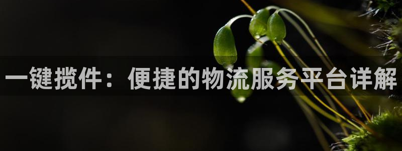 豪门国际注册网页版：一键揽件：便捷的