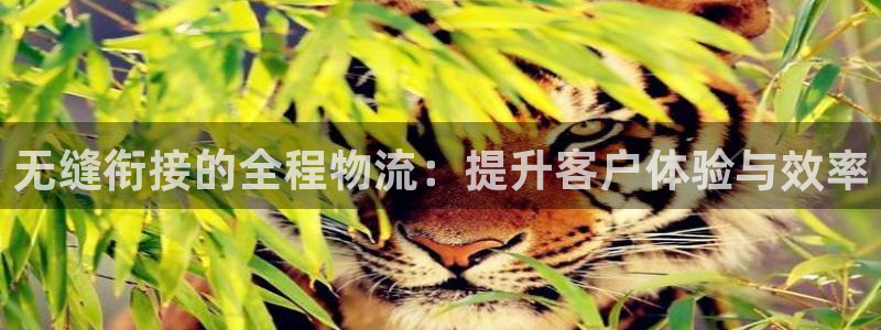 豪门国际pg麻将胡了2老是空转：无缝