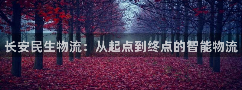 豪门国际黑平台吗：长安民生物流：从起