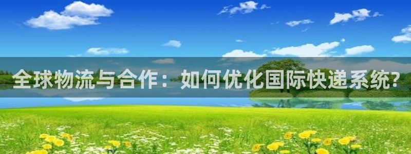 豪门国际注册条件：全球物流与合作：如