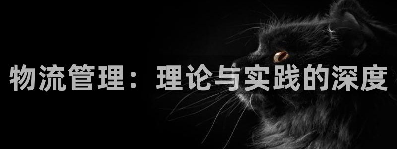 豪门国际软件总是闪退怎么回事