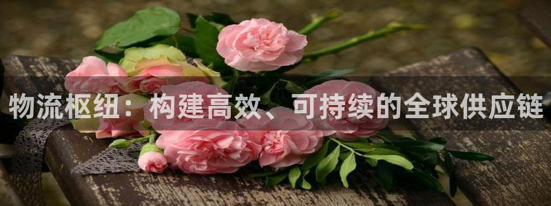 豪门国际链接多少