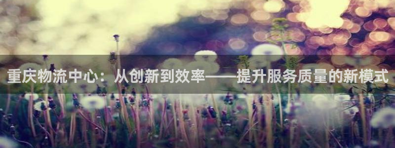 豪门国际下载体育：重庆物流中心：从创