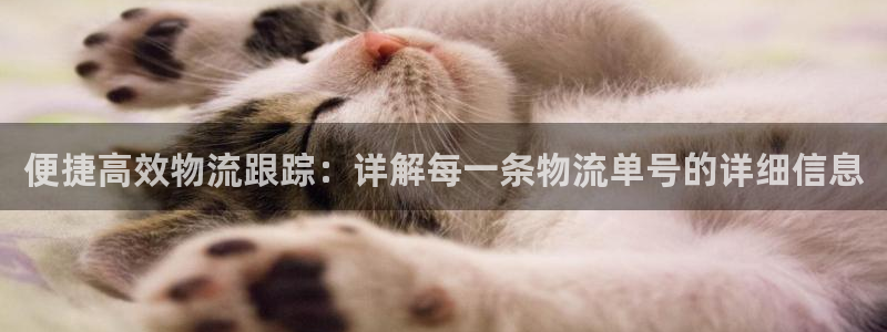 豪门国际注册网页版：便捷高效物流跟踪