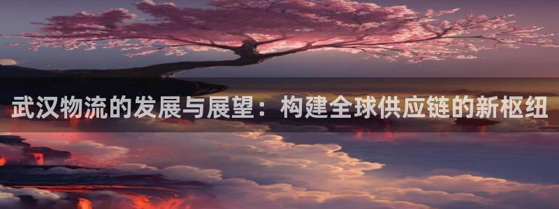 豪门国际官网入口o：武汉物流的发展与