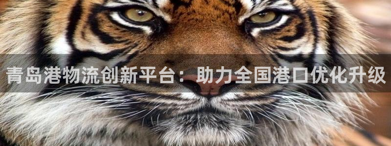豪门国际注册条件：青岛港物流创新平台