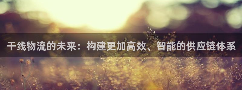 豪门国际口内径是多大：干线物流的未来：构建更加高效、智能的供