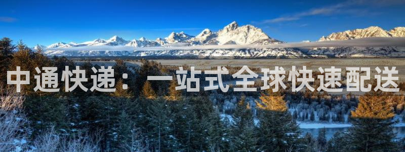 豪门国际官网下载：中通快递：一站式全