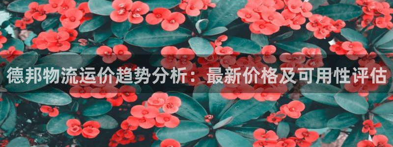 豪门国际相信品牌的力量：德邦物流运价