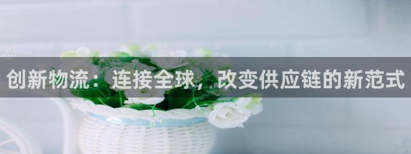 豪门国际官网入口pc正版：创新物流：