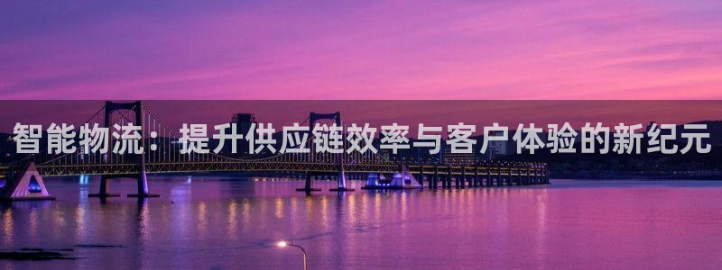 豪门国际充值金额随便：智能物流：提升