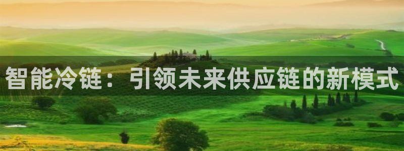豪门国际辅助：智能冷链：引领未来供应