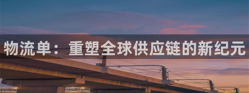 豪门国际链接来一个：物流单：重塑全球