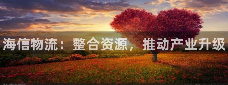 豪门国际那个才是充值账号：海信物流：