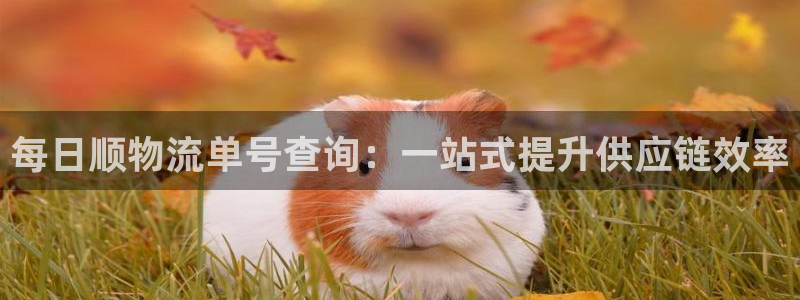 豪门国际系统自动保护：每日顺物流单号