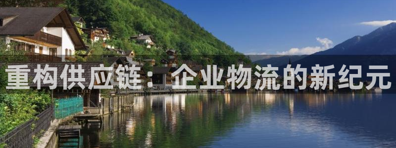豪门国际链接多少：重构供应链：企业物