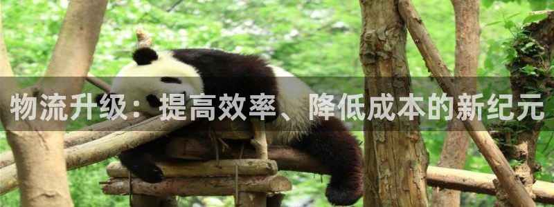 豪门国际注册链接入口