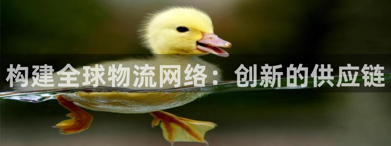 豪门国际客服电话：构建全球物流网络：