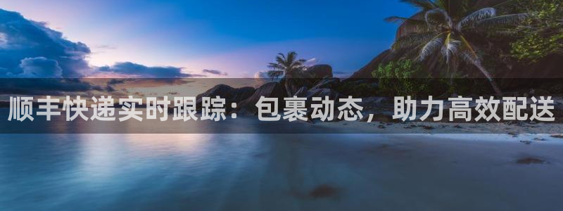 豪门国际v6能卖多少：顺丰快递实时跟