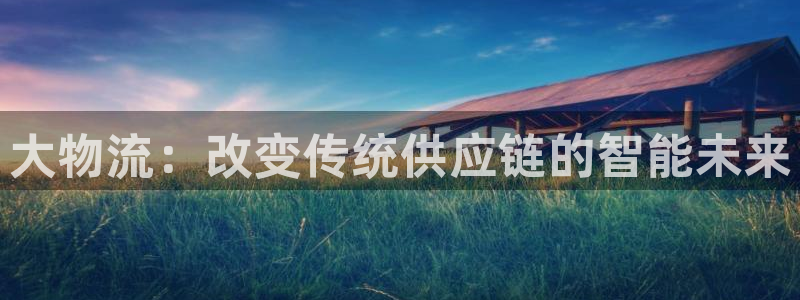 豪门国际注册链接：大物流：改变传统供