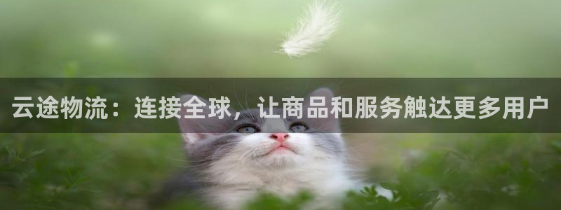 豪门国际p扣款什么意思：云途物流：连