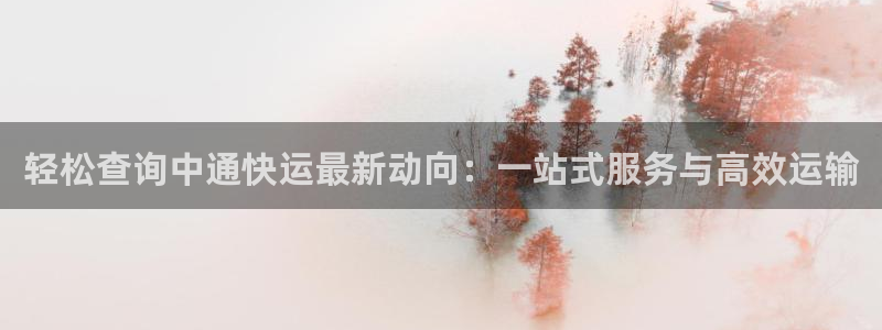 豪门国际麻将：轻松查询中通快运最新动