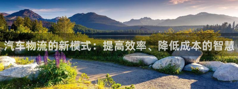 豪门国际口：汽车物流的新模式：提高效